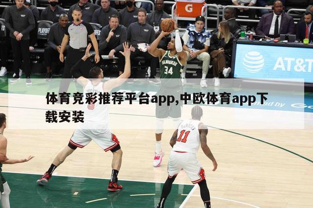 体育竞彩推荐平台app,中欧体育app下载安装