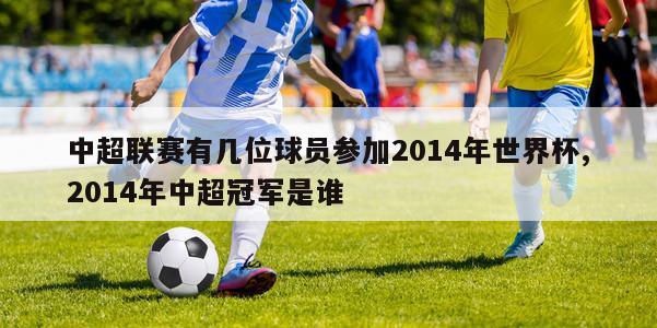 中超联赛有几位球员参加2014年世界杯,2014年中超冠军是谁