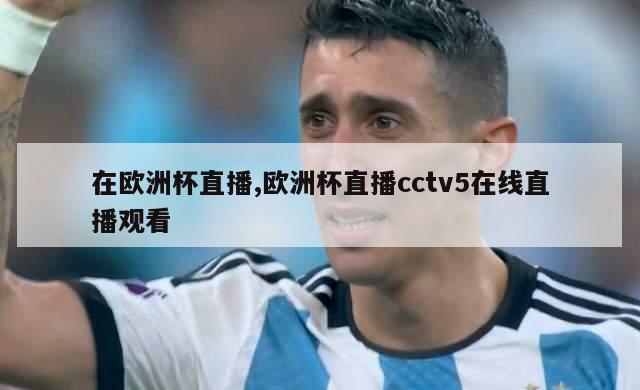 在欧洲杯直播,欧洲杯直播cctv5在线直播观看