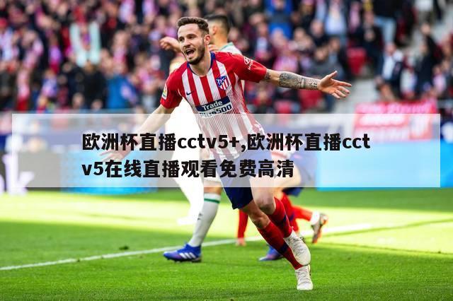 欧洲杯直播cctv5+,欧洲杯直播cctv5在线直播观看免费高清