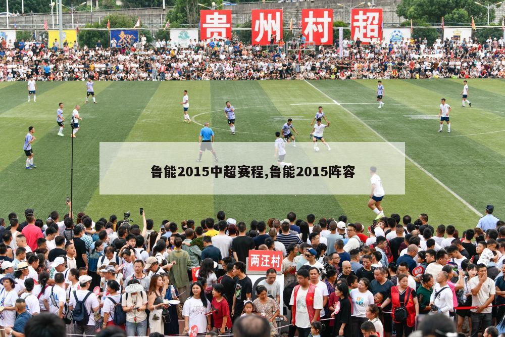 鲁能2015中超赛程,鲁能2015阵容