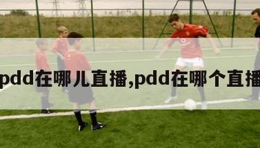 pdd在哪儿直播,pdd在哪个直播